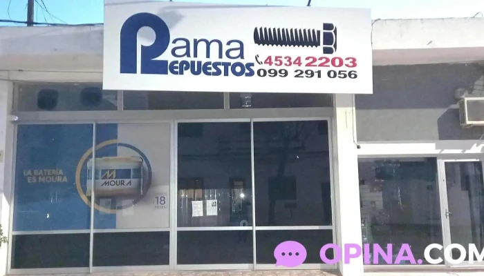 Rama repuestos - 75100 Dolores