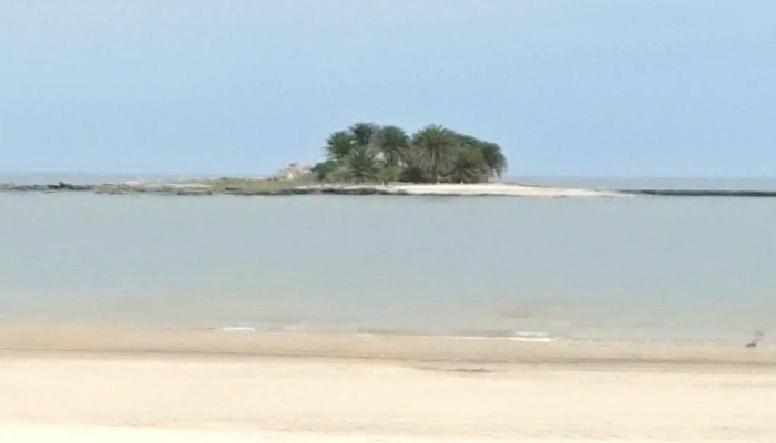 Rambla De Malvin Comentario 12 - Montevideo