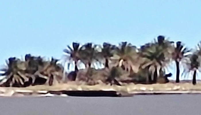 Rambla De Malvin Comentario 4 - Montevideo