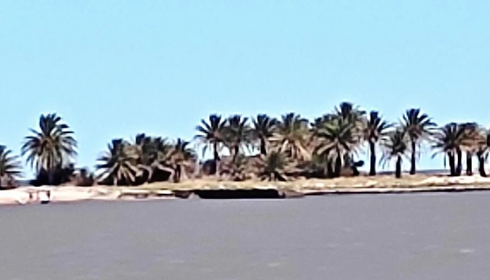 Rambla De Malvin Comentario 5 - Montevideo