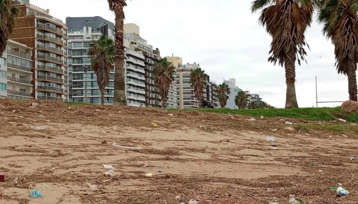 Rambla De Punta Carretas -  Catalogo - Montevideo