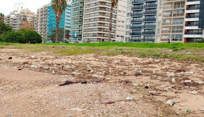 Rambla De Punta Carretas -  Direccion - Montevideo