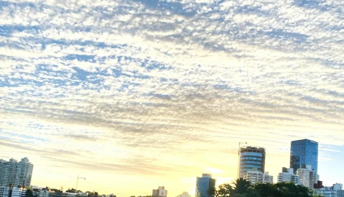 Rambla De Punta Carretas -  Zona - Montevideo