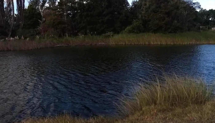 Rambla Del Arroyo Sarandi Comentario 1 - La Floresta