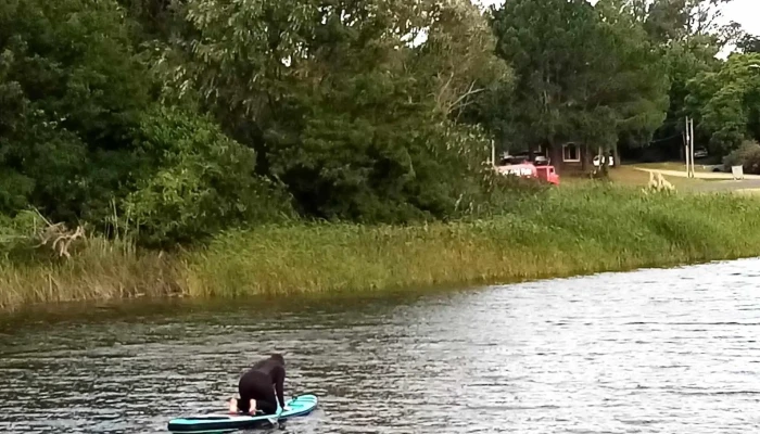 Rambla Del Arroyo Sarandi Comentario 2 - La Floresta