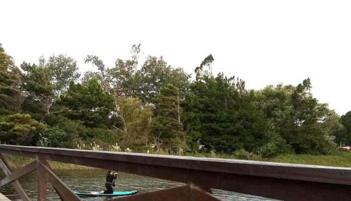 Rambla Del Arroyo Sarandi Comentario 3 - La Floresta