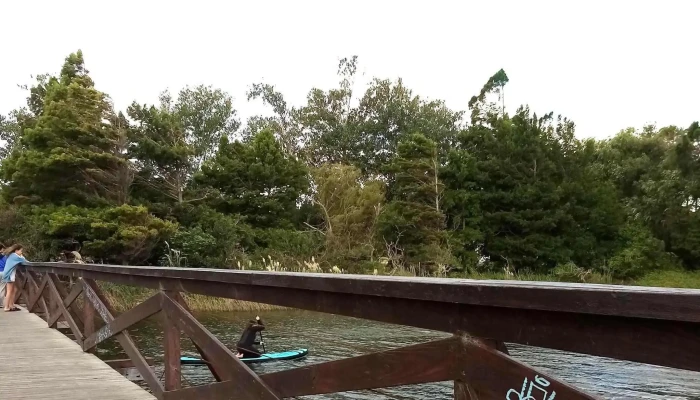 Rambla Del Arroyo Sarandi Comentario 4 - La Floresta