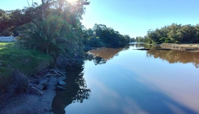 Rambla Del Arroyo Sarandi Comentario 5 - La Floresta