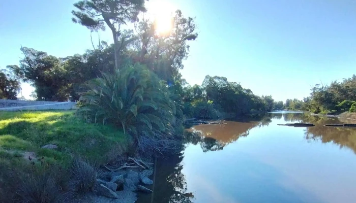 Rambla Del Arroyo Sarandi Comentario 6 - La Floresta