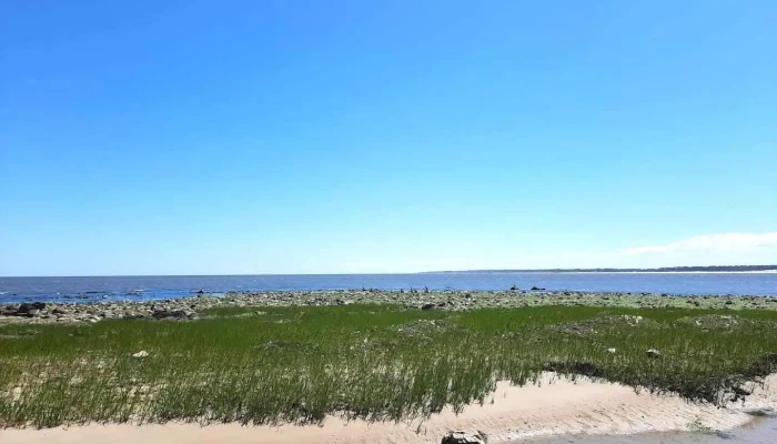 Rambla del Arroyo Sarandí - La Floresta