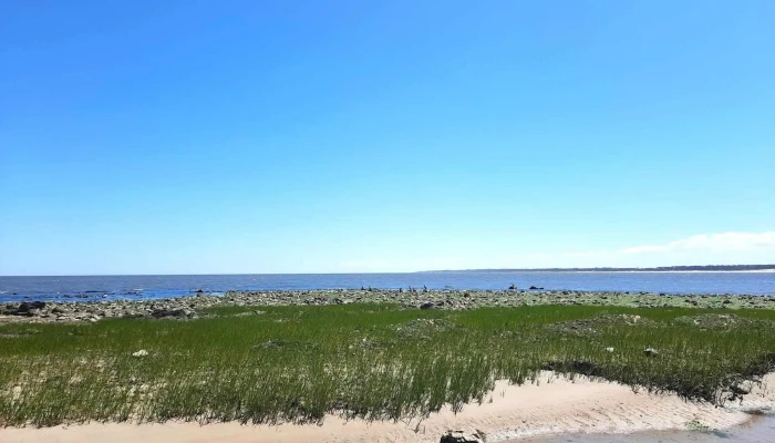 Rambla Del Arroyo Sarandi Todo - La Floresta