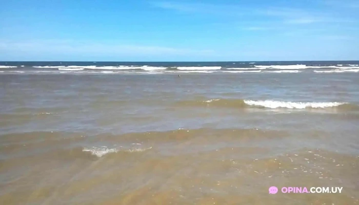 Rambla Del Arroyo Sarandi Videos - La Floresta