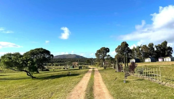 Rara Cuenca - Piriápolis