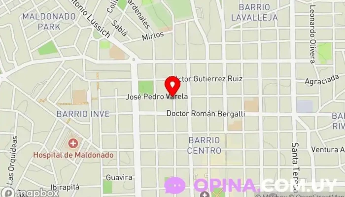 mapa de Ratao Jiujitsu Punta del Este Escuela deportiva en Maldonado
