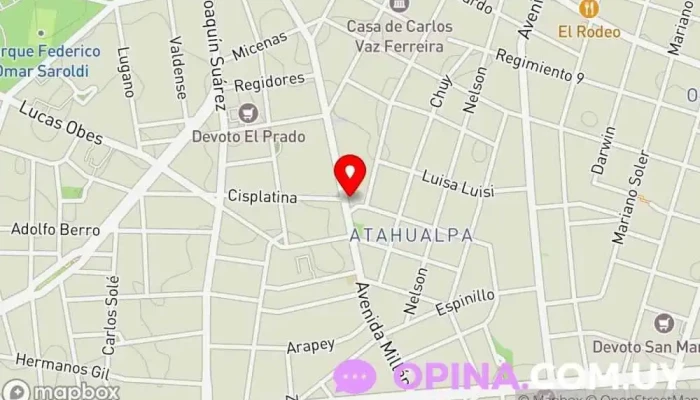 mapa de Ravka Pintura en Montevideo