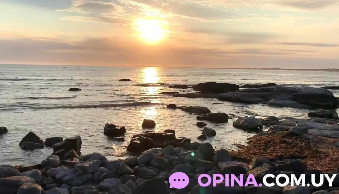 Real Negocios Inmobiliarios -  Del Propietario - Maldonado