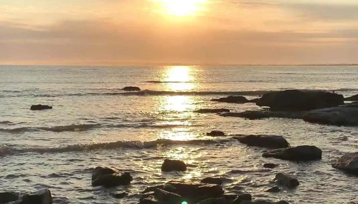 Real Negocios Inmobiliarios -  Videos - Maldonado