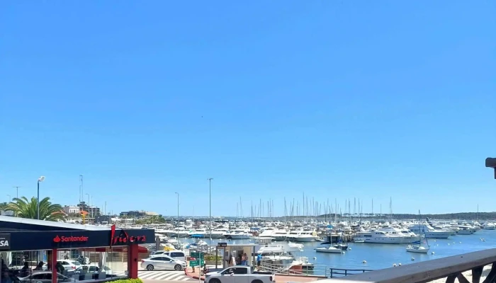 Rebelion Coffee Roasters -  Comentario 3 - Punta del Este