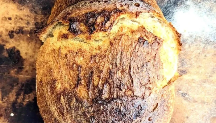 Rebelion Coffee Roasters -  Masa Madre - Punta del Este