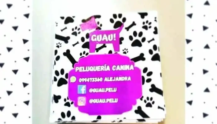 Recrearte Arte - Las Piedras