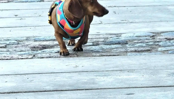 Regency Way Montevideo Hotel -  Mas Recientes - Montevideo