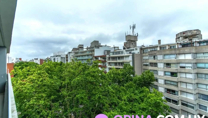 Rehuge Horario - Montevideo