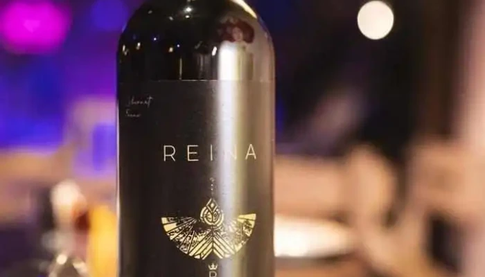 Reina Cafe Bar Comida Y Bebida - Col. del Sacramento