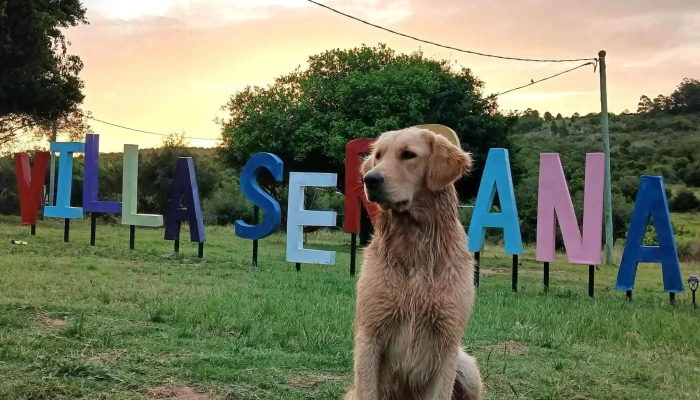 Reino Animal Clinica Veterinaria Cerca De Mi - Minas