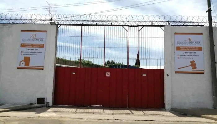 Remate Eduardo Demaria - San José De Mayo