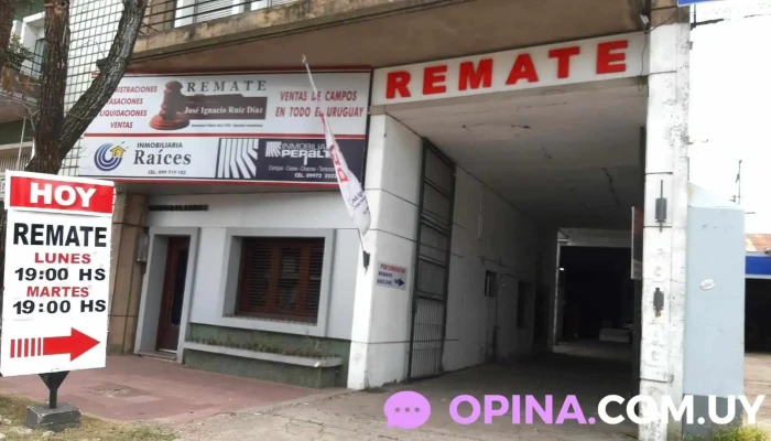 Remate Ruiz Diaz -  Ubicacion - Paysandú