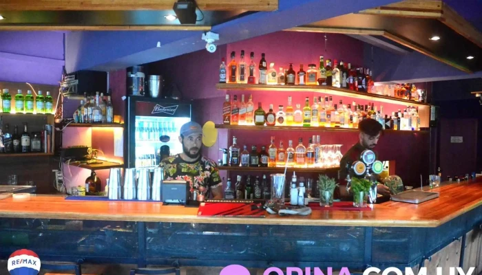 Remax Focus -    Arq Luciana Restuccia   Agente Inmobiliario Interior - Montevideo