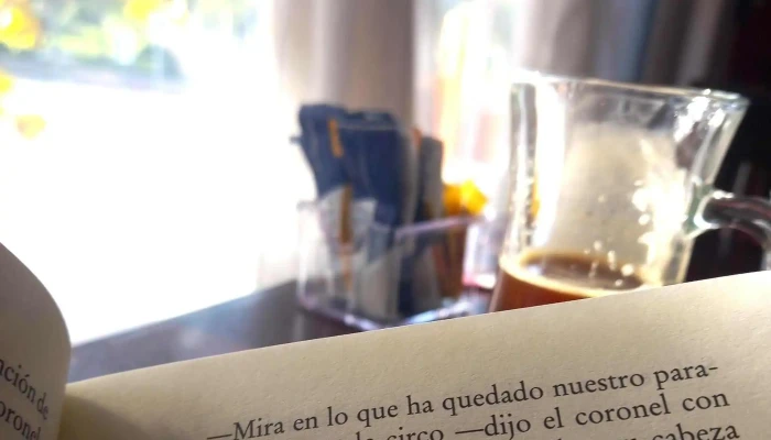 Remember Me Libreria Comentario 6 - Fray Bentos