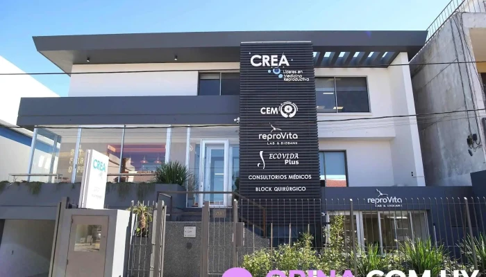 Reprovita Lab Biobank Del Propietario - Montevideo