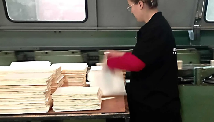 Respuesta Grafica Del Propietario - Montevideo