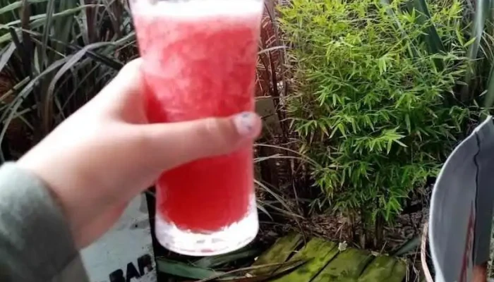 Restaurant Bar Upalala Jugo - La Paloma