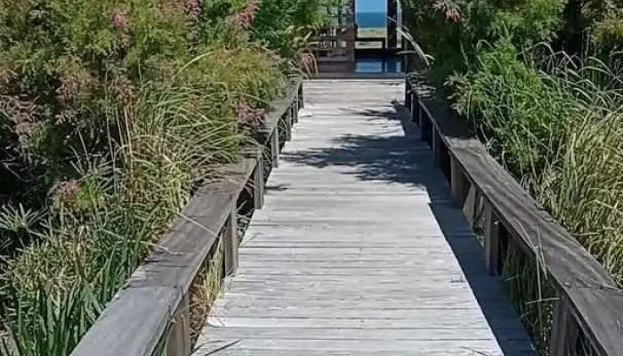 Restaurant Las Garzas -  Videos - Santa Isabel