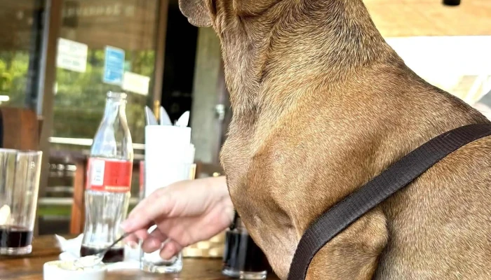 Restaurante Del Penitente -  Comentario 4 - Villa Serrana