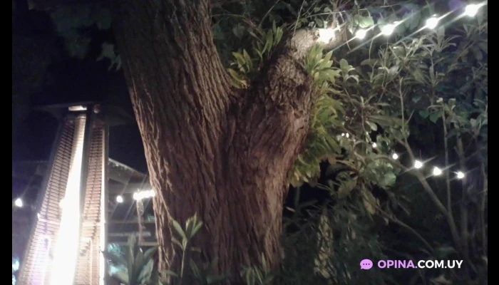 Restaurante Orishas -  Todas - La Paloma