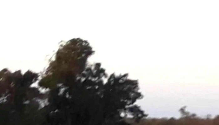 Restaurante Parador Municipal -  Videos - Paso de los Toros