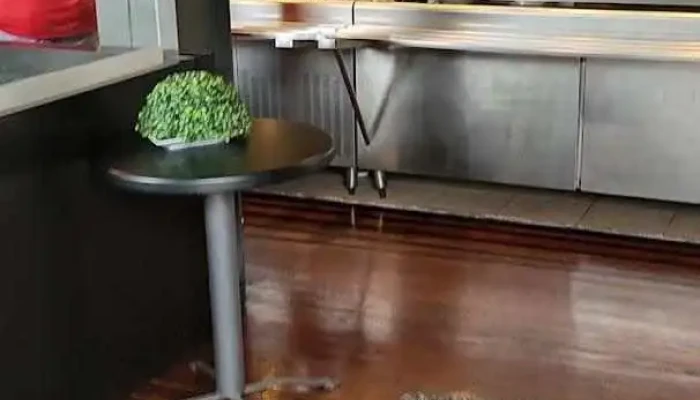 Restaurante Rincon De Zabala Videos - Montevideo