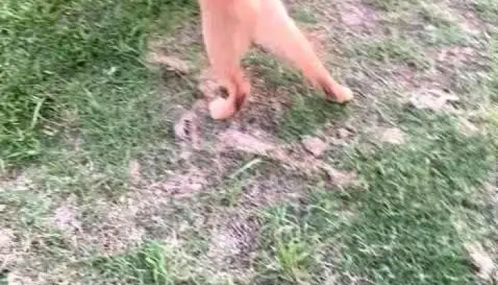 Restaurante Y Parrillada Carimar -  Videos - José Pedro Varela