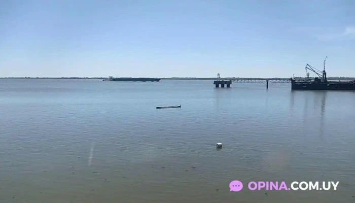 Resto Pizzeria Al Timon Videos - Fray Bentos