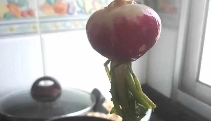 Restoran Mejor Y Mas Barato Comida Y Bebida - Maldonado