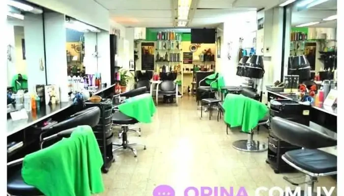 Revive hair studio - 11100 Montevideo