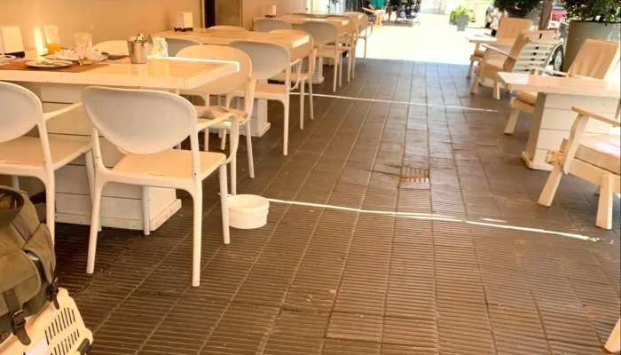 Rex Cafe -  Comentario 2 - Piriápolis