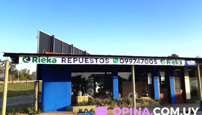 Rieka Repuestos - 75000 Mercedes