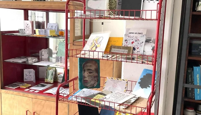 Riesgo -  Estante De Libros - Montevideo