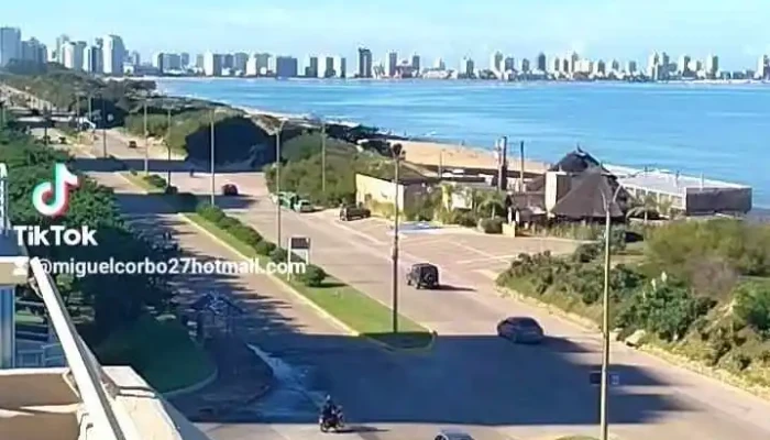 Rincon Del Diario -  De Los Visitantes - Punta Ballena