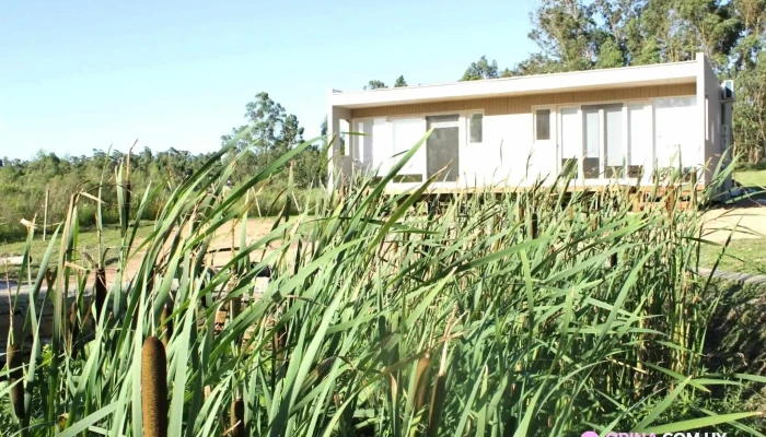 Rincon Del Diario -  Exterior - Punta Ballena