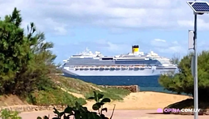 Rincon Del Diario -  Videos - Punta Ballena